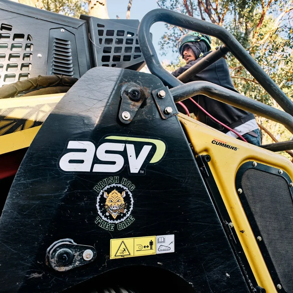 Expert yard cleanup service experts serving Half Moon Bay, CA - Brush Hog Tree Care