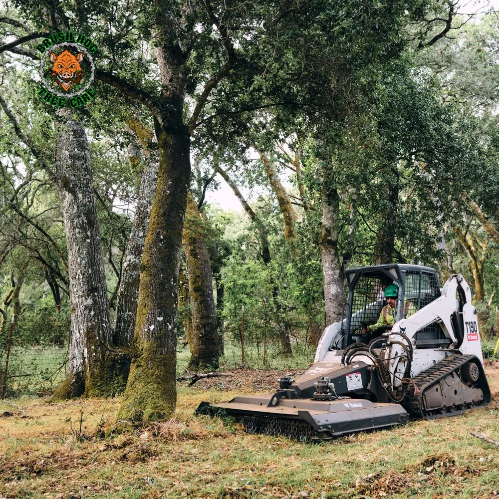 Professional landscape installation near you across Half Moon Bay, CA - Brush Hog Tree Care