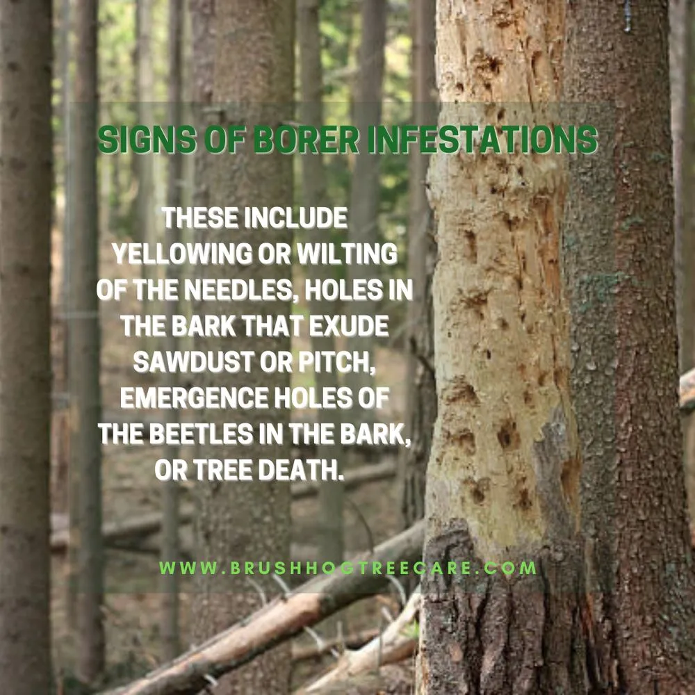 Trusted landscape installation in Half Moon Bay, CA - Brush Hog Tree Care