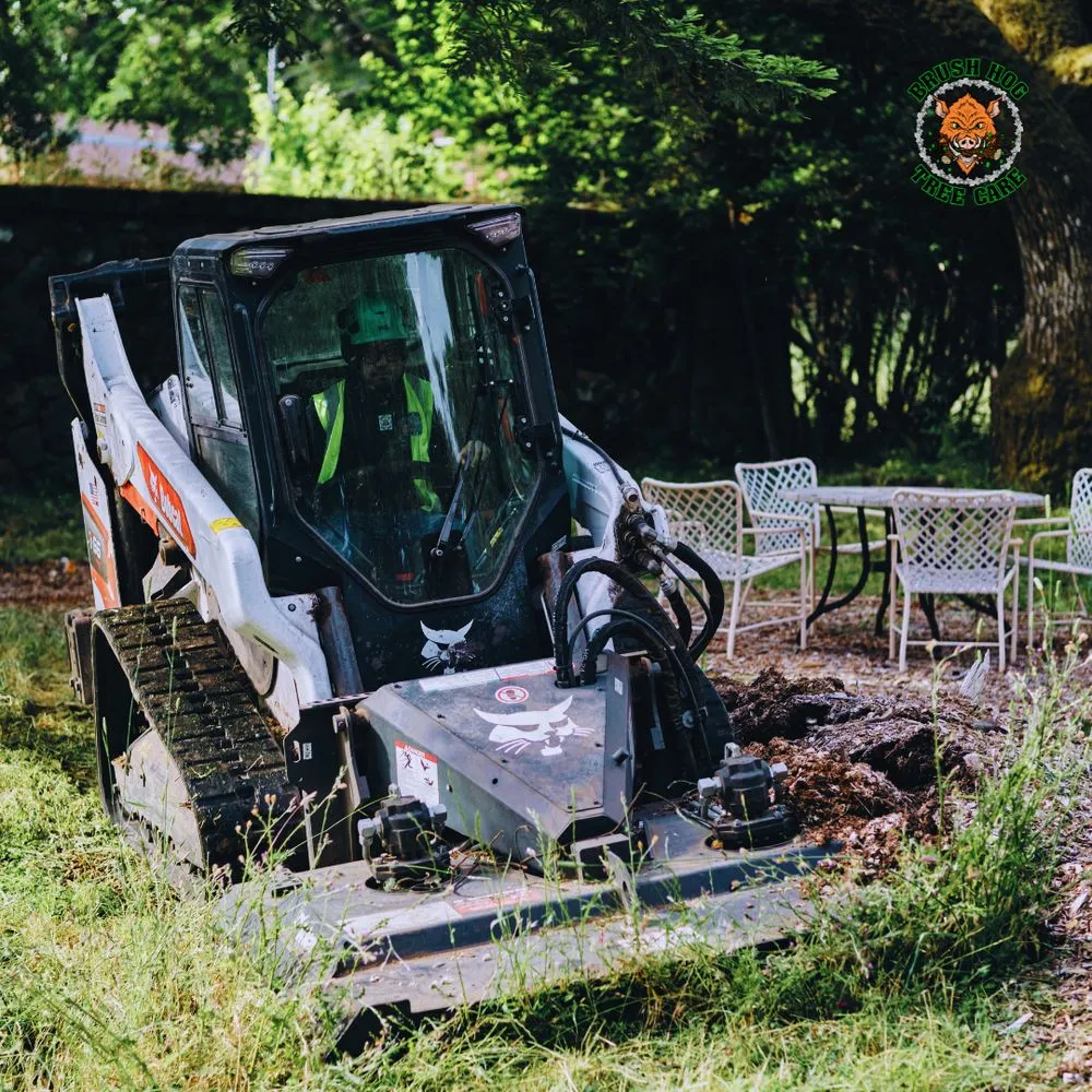 Top-rated landscape design in Half Moon Bay, CA by Brush Hog Tree Care