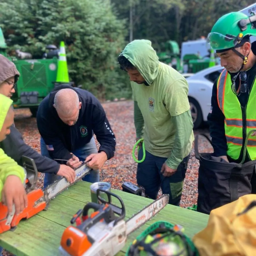 Reliable yard maintenance experts serving Half Moon Bay, CA - Brush Hog Tree Care