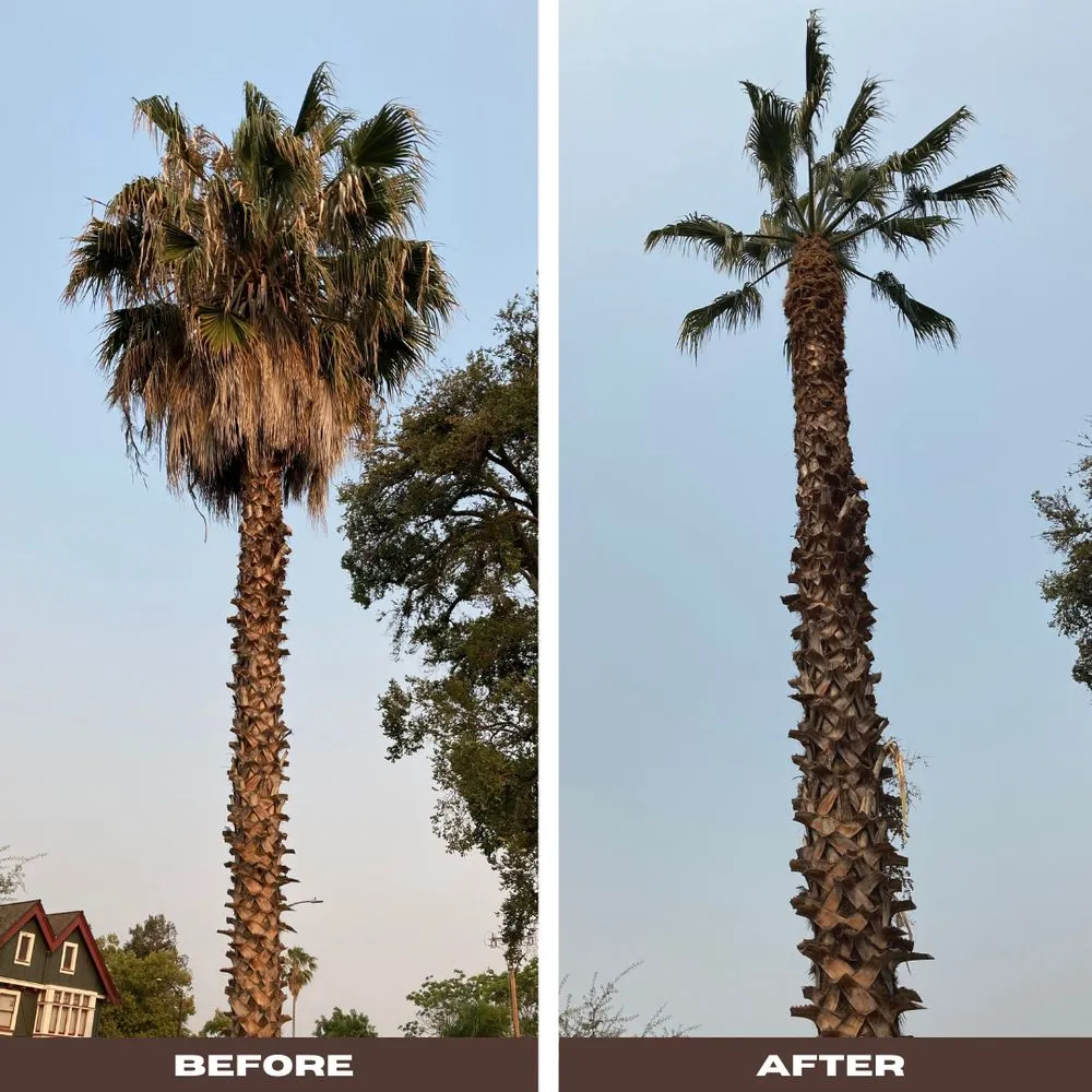 Local yard maintenance in Half Moon Bay, CA by Brush Hog Tree Care