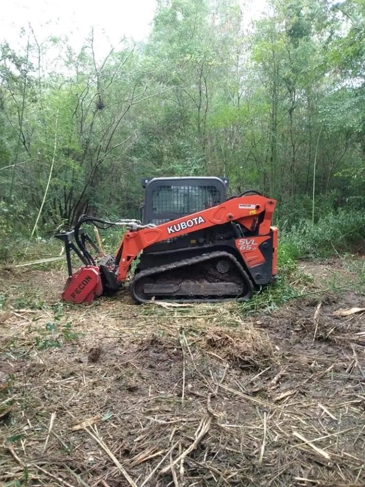 Custom landscape design near you in Moultrie, GA by Brush Masters Forestry Mulching