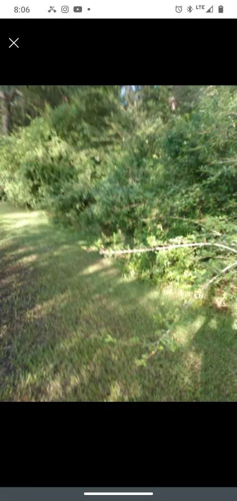 Custom landscaping services for year-round maintenance across Moultrie, GA - Brush Masters Forestry Mulching