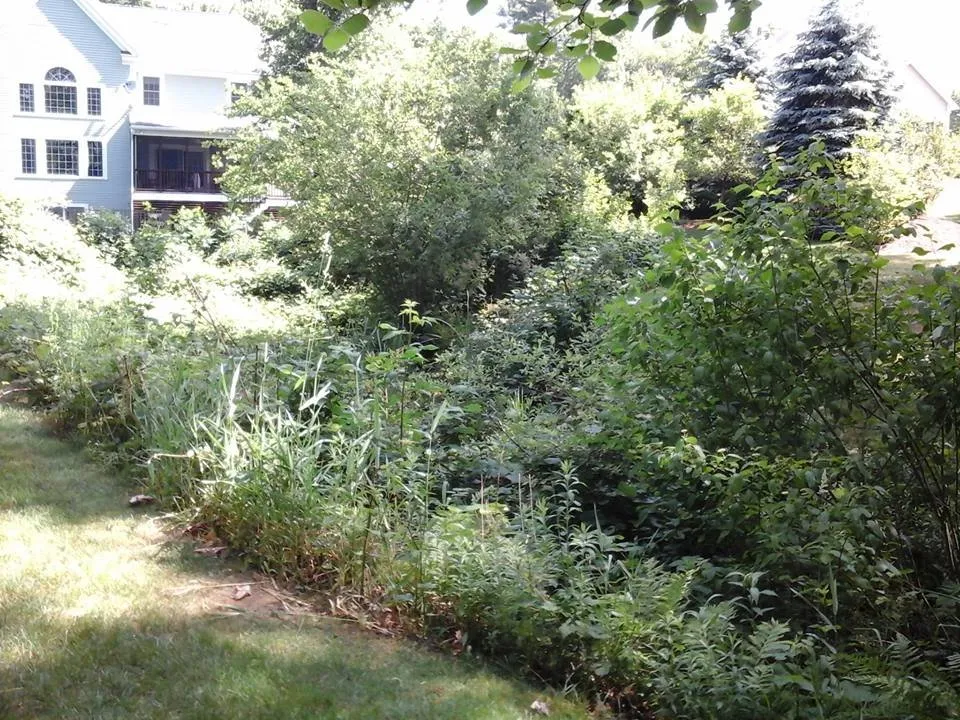 Reliable lawn mowing service near you across Shirley Center, MA - Brush Mower Guy