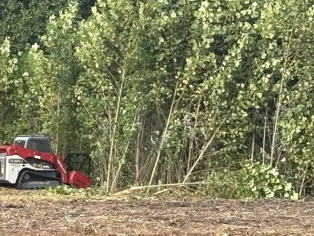 Trusted landscape installation for beautiful yards across Vienna, IL - Brushbusters Land Management