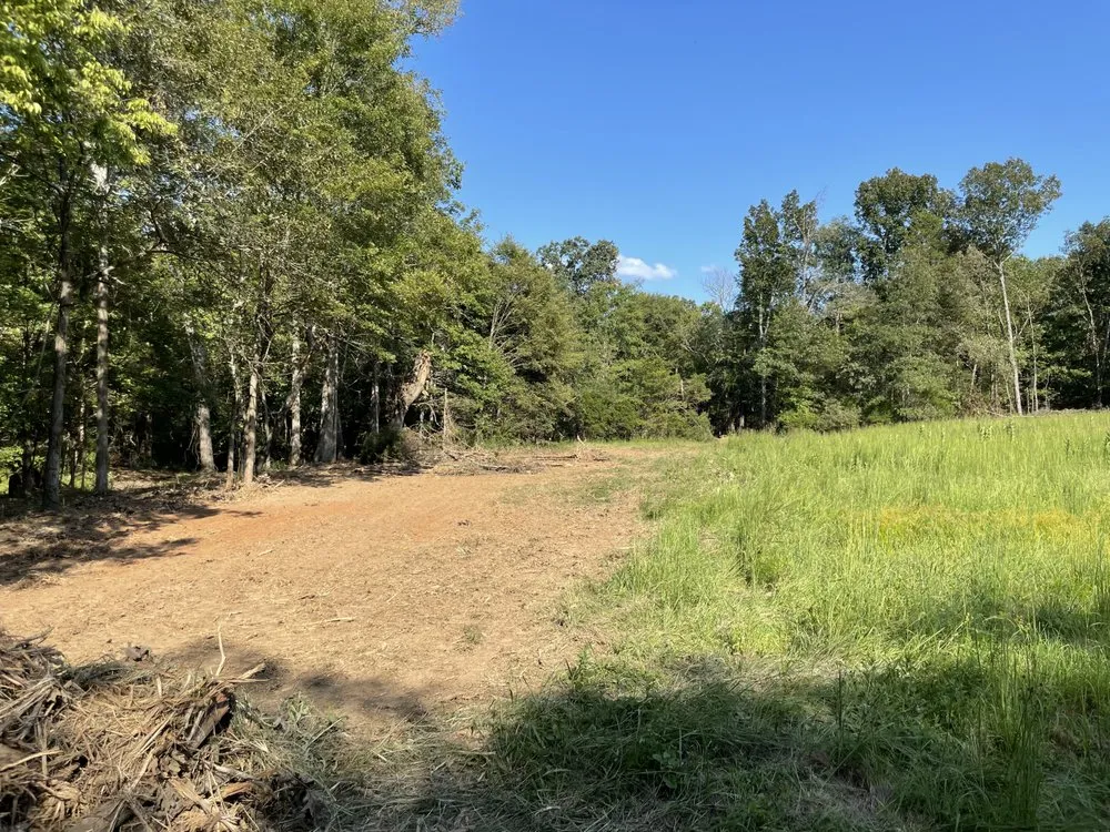 Reliable outdoor landscaping for outdoor upgrades in Vienna, IL by Brushbusters Land Management