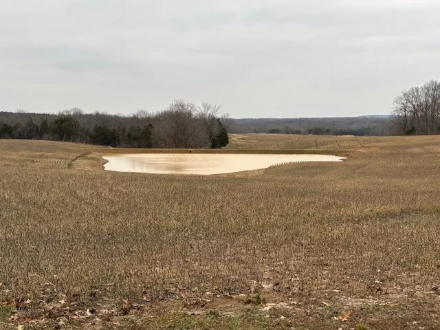 Trusted residential landscaping with custom design across Vienna, IL - Brushbusters Land Management