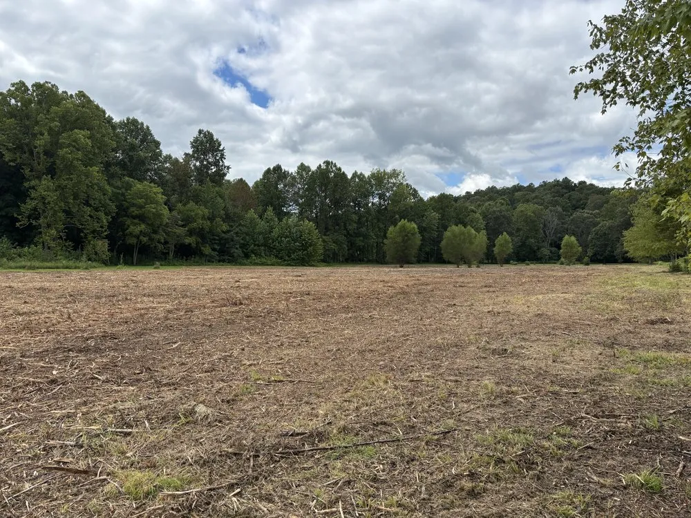 Custom landscaping services experts serving Vienna, IL - Brushbusters Land Management