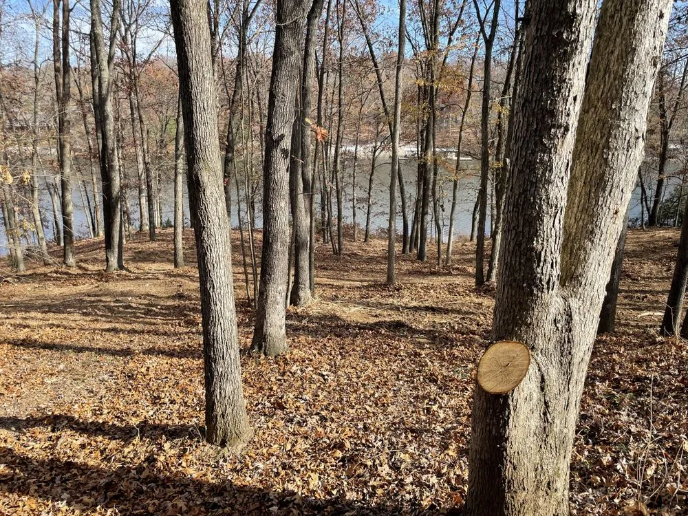 Trusted landscape installation experts serving Vienna, IL - Brushbusters Land Management