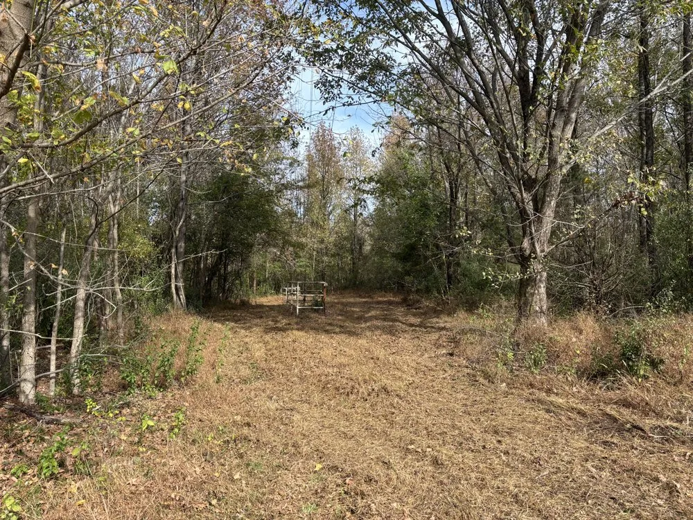 Affordable landscape installation experts serving Vienna, IL - Brushbusters Land Management