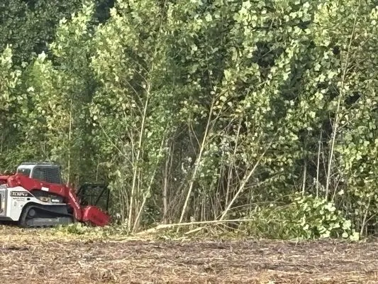 Brushbusters Land Management