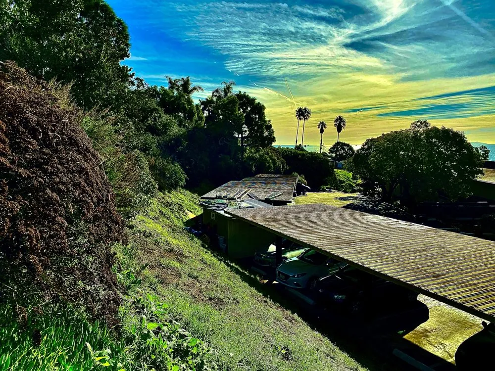 Reliable yard maintenance experts serving Santa Barbara, CA - Brushfire Guard