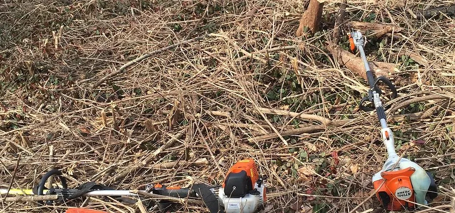 Reliable yard cleanup service with custom design in Santa Barbara, CA by Brushfire Guard