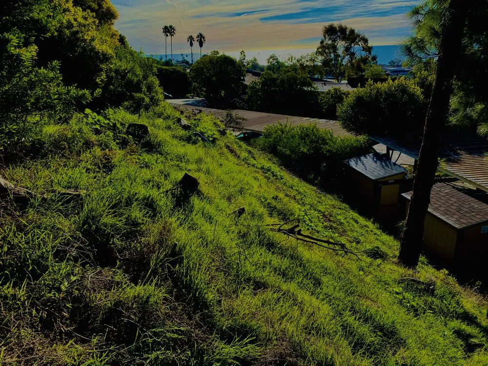 Professional landscaping services for beautiful yards across Santa Barbara, CA - Brushfire Guard