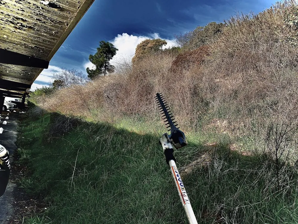 Professional residential landscaping for outdoor upgrades in Santa Barbara, CA by Brushfire Guard