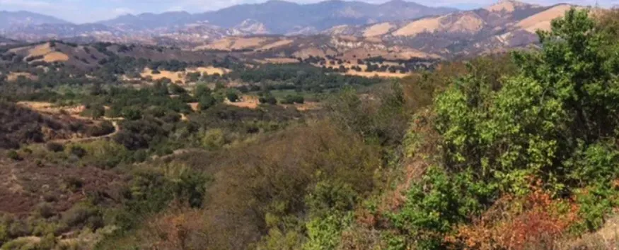 Trusted residential landscaping in Santa Barbara, CA by Brushfire Guard