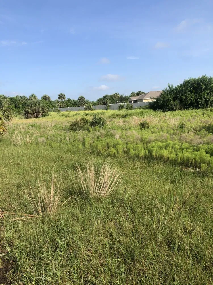 Top-rated landscape design experts serving Palm Bay, FL - Brushmasters of Brevard