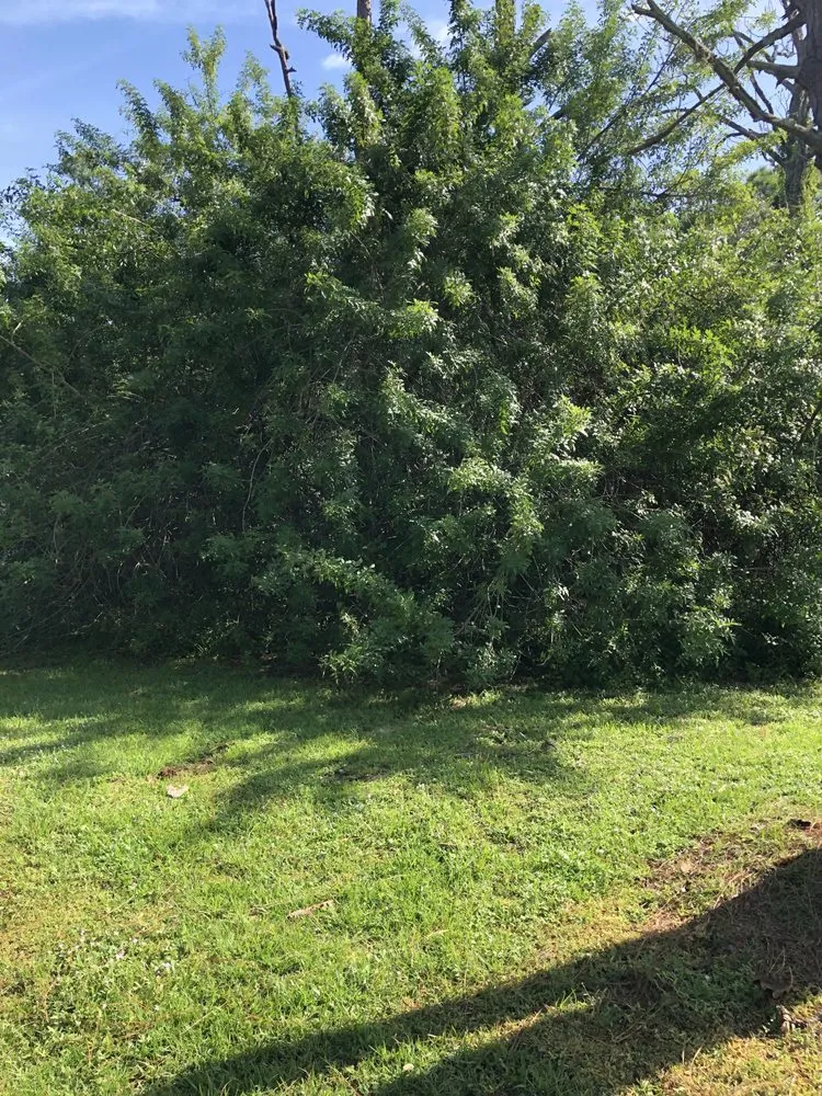 Affordable garden landscaping in Palm Bay, FL by Brushmasters of Brevard