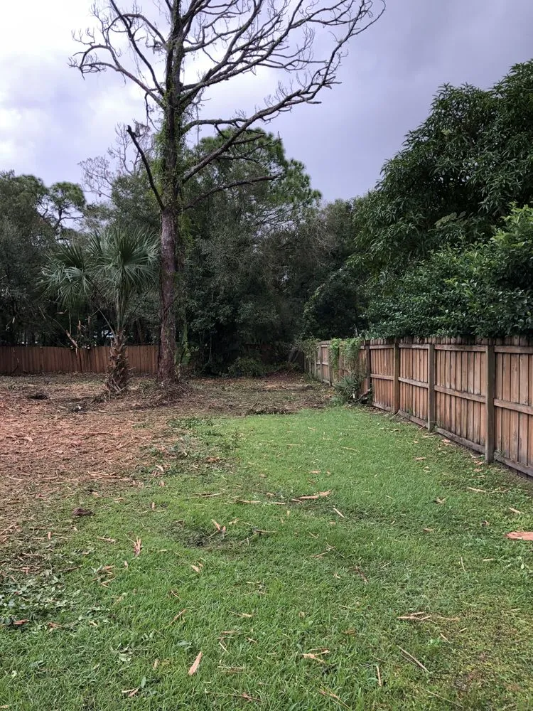 Affordable yard maintenance for residential properties in Palm Bay, FL by Brushmasters of Brevard