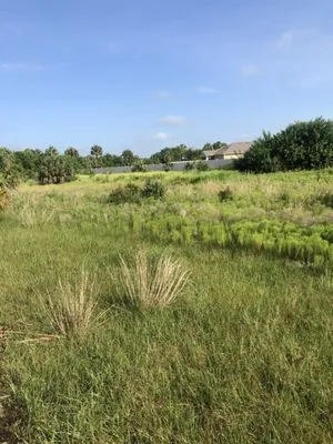 Brushmasters of Brevard Logo