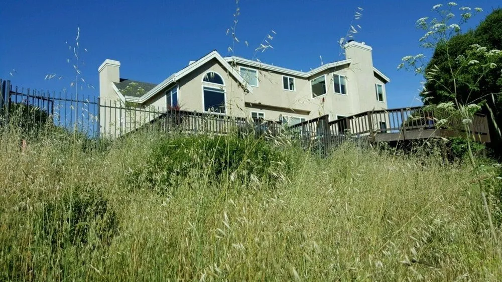 Reliable residential landscaping in Oakland, CA by BrushPros Defensible Space Clearing