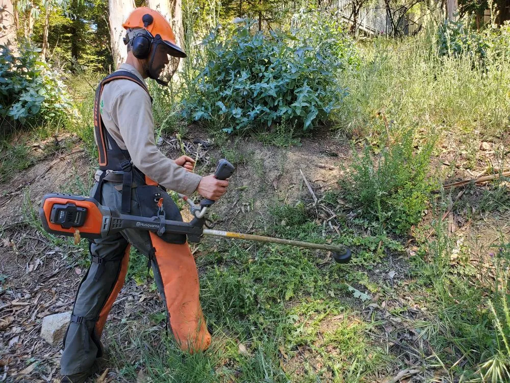 Trusted garden landscaping near you in Oakland, CA by BrushPros Defensible Space Clearing