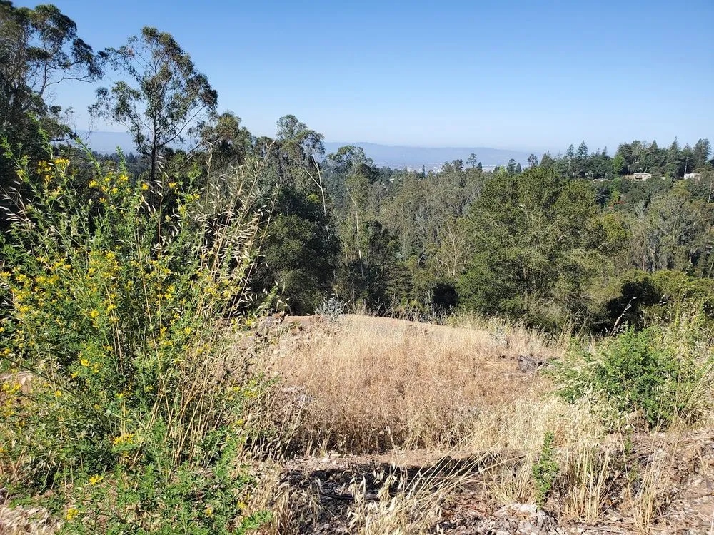 Professional outdoor landscaping experts serving Oakland, CA - BrushPros Defensible Space Clearing