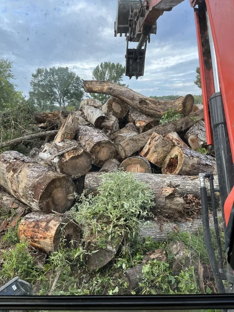 Affordable lawn care service near you across Henderson, TX - Brushwacker Land Services