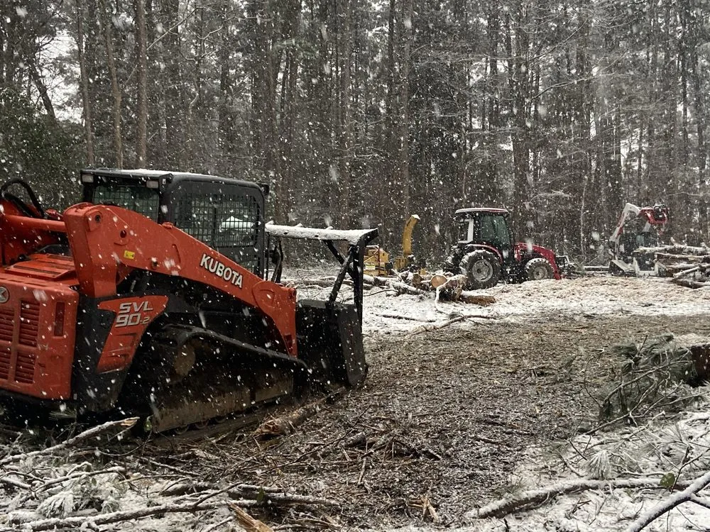 Local landscaping services for beautiful yards in Henderson, TX by Brushwacker Land Services