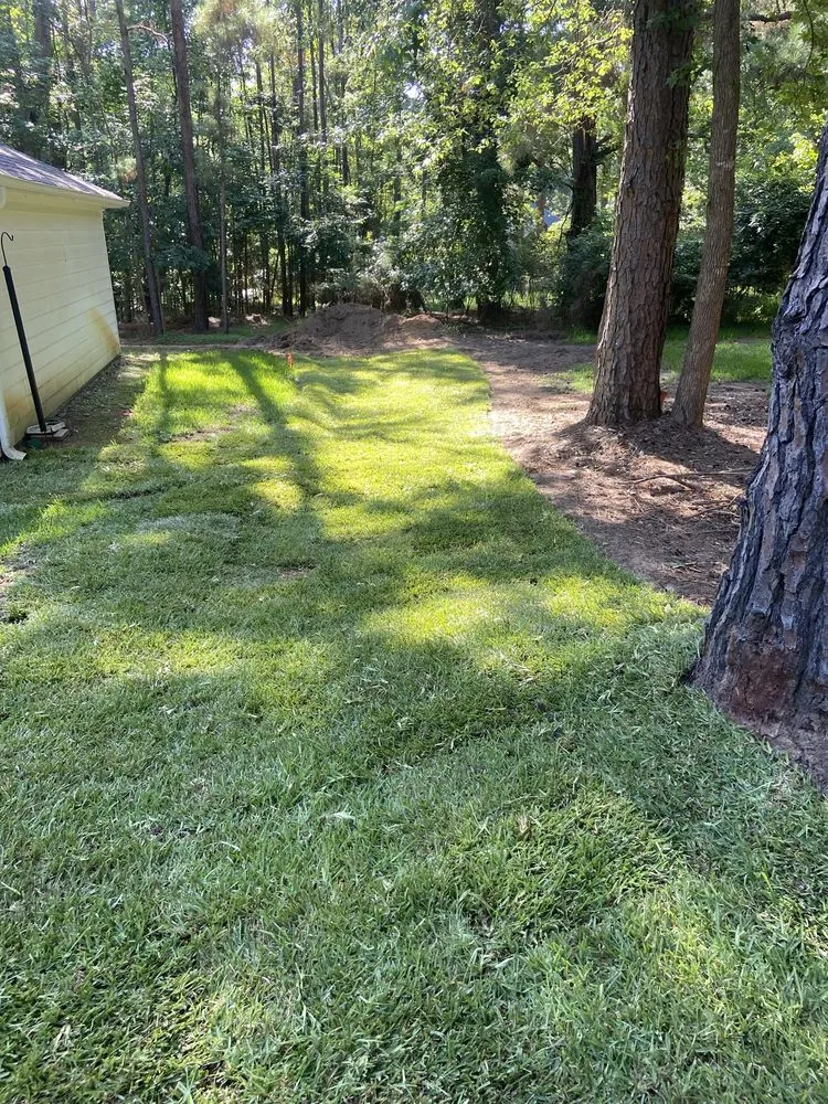 Professional garden landscaping for outdoor upgrades in Henderson, TX by Brushwacker Land Services