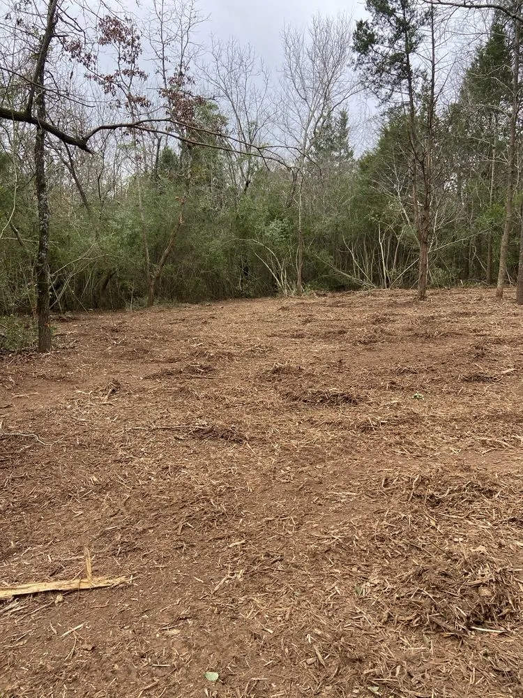 Top-rated landscape installation near you in Henderson, TX by Brushwacker Land Services