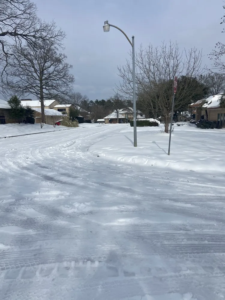 Professional landscaping services experts serving Henderson, TX - Brushwacker Land Services