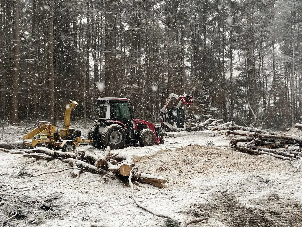 Professional lawn care service in Henderson, TX by Brushwacker Land Services