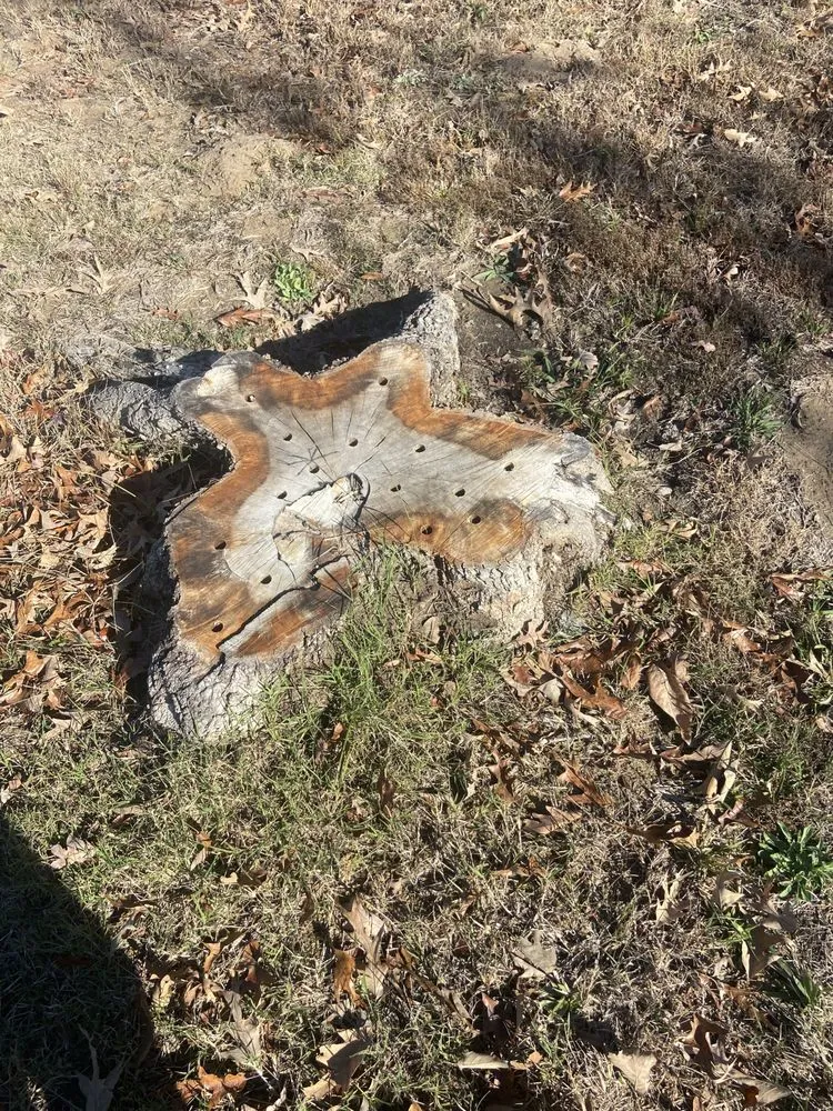 Affordable landscaping services for beautiful yards across Henderson, TX - Brushwacker Land Services