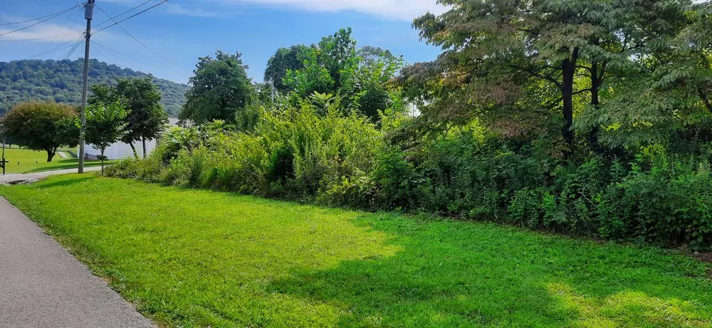 Trusted residential landscaping in Monticello, KY - Brushwackers