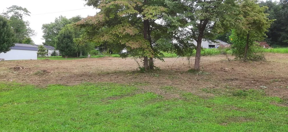 Expert landscape installation in Monticello, KY by Brushwackers