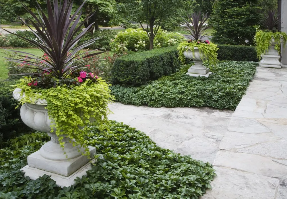 Top-rated yard cleanup service in Wheaton, IL - Bruss Landscaping