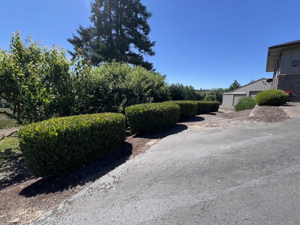 Local yard maintenance experts serving Albany, OR - Brute Landscape