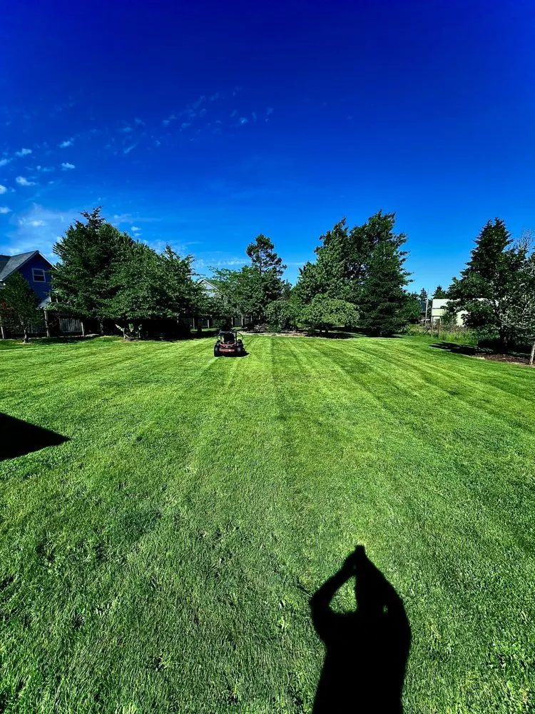 Affordable lawn care service in Albany, OR - Brute Landscape