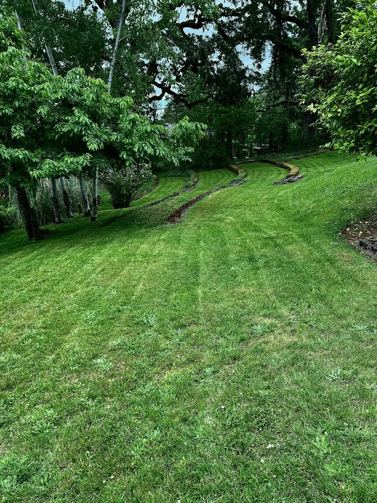 Affordable landscape design for homes in Albany, OR by Brute Landscape