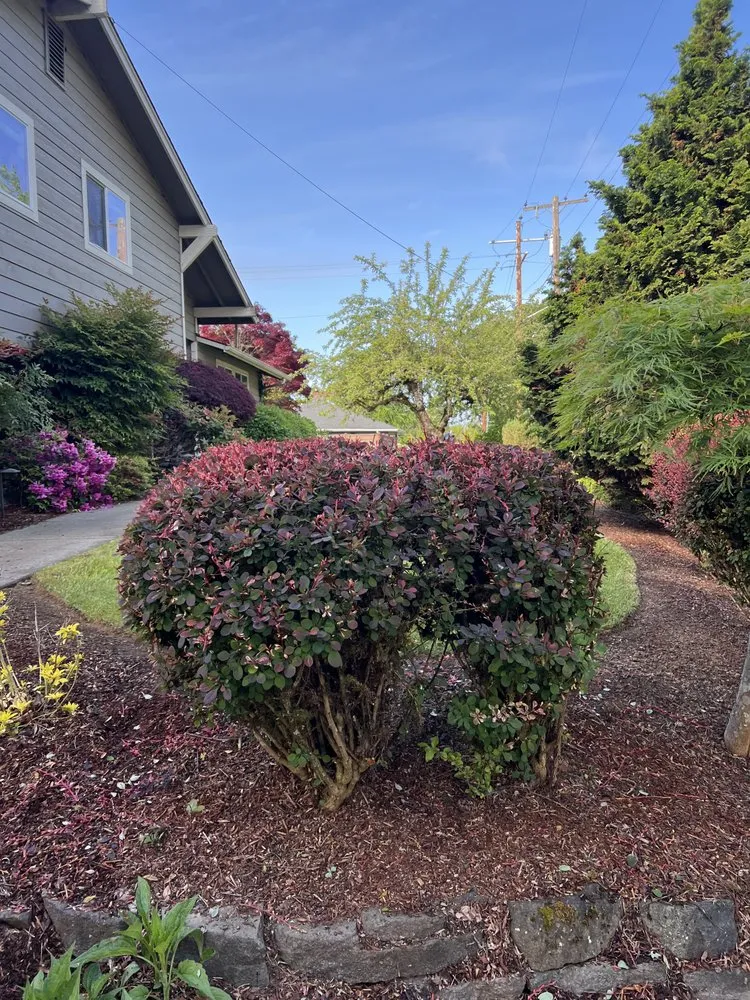 Trusted garden landscaping for beautiful yards in Albany, OR by Brute Landscape