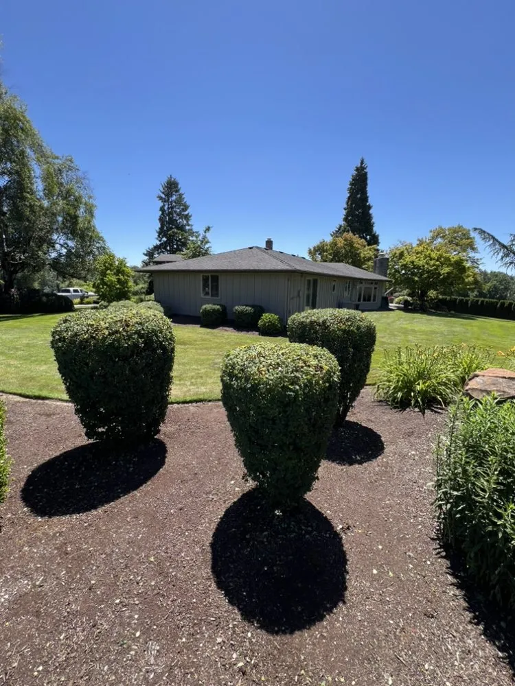 Local landscape installation for outdoor upgrades across Albany, OR - Brute Landscape