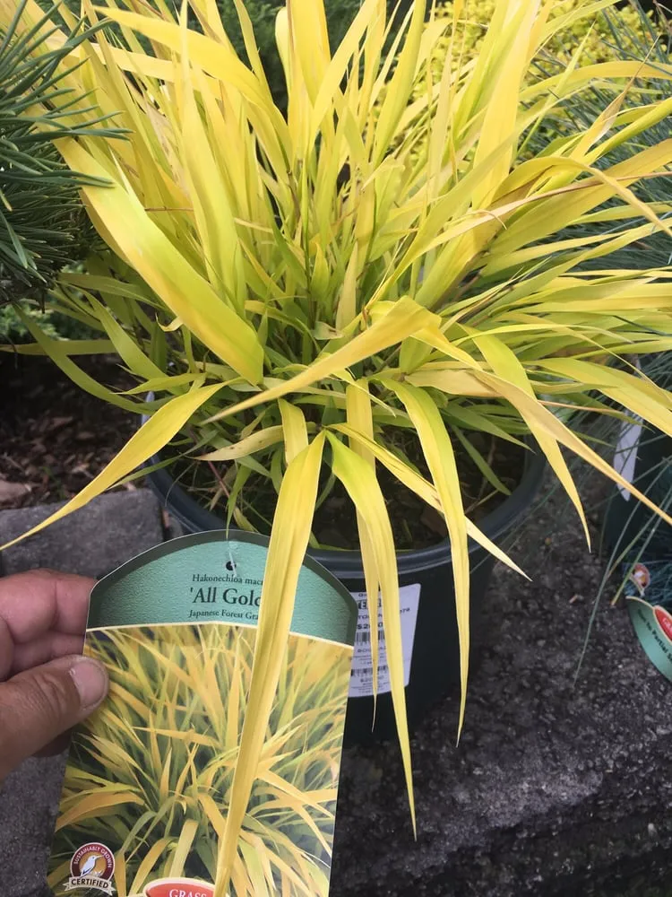 Reliable landscape design for homes across Nutley, NJ - Bruzzi Landscaping