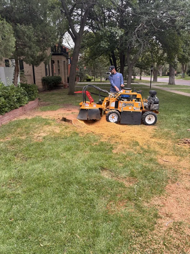 Reliable outdoor landscaping in Canyon, TX by BRW Landscaping