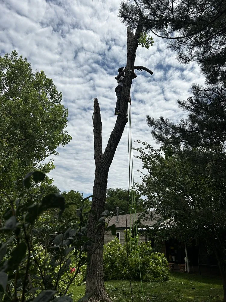 Custom landscape installation experts serving Canyon, TX - BRW Landscaping