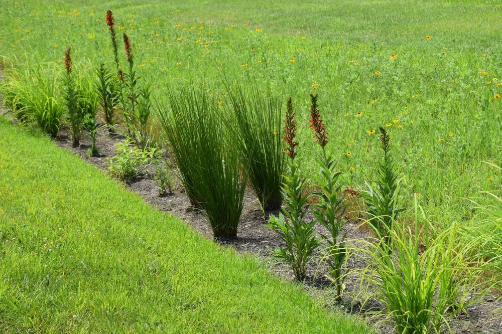 Affordable lawn mowing service experts serving Easton, MD - Bryan & Sons