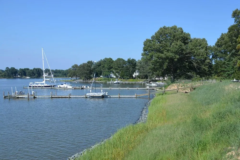 Trusted landscape installation for year-round maintenance across Easton, MD - Bryan & Sons