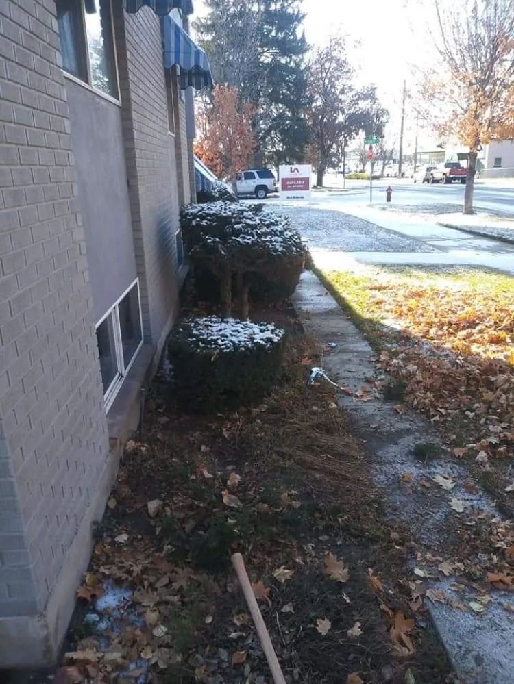 Trusted yard cleanup service near you across Boise, ID - Bryan Adams Landscaping