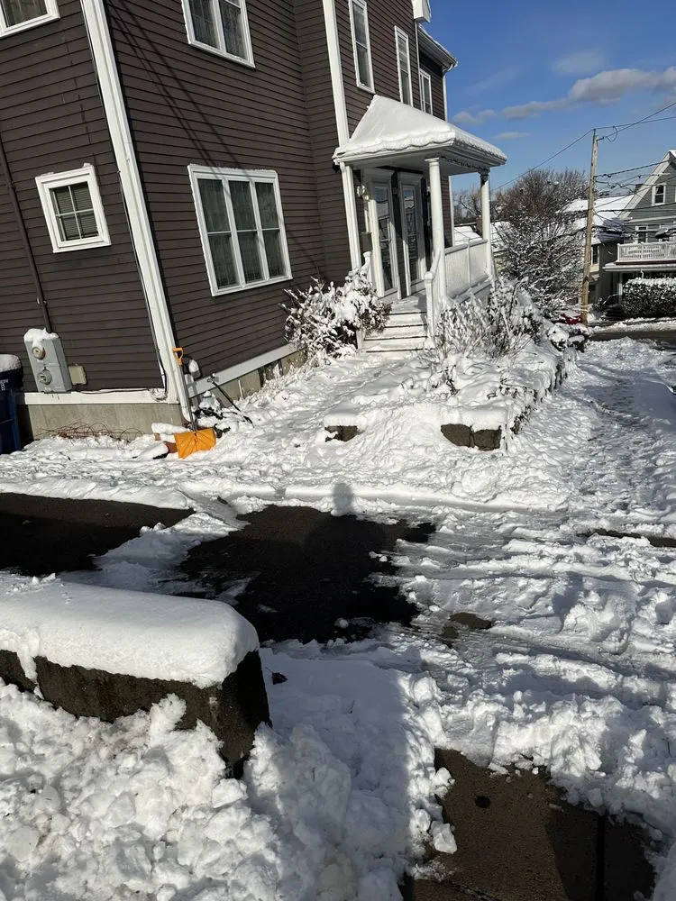 Local yard maintenance in Boston, MA by Bryan and Keila Landscaping